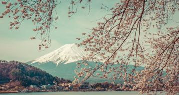 Фотообои Японский пейзаж с сакурой
