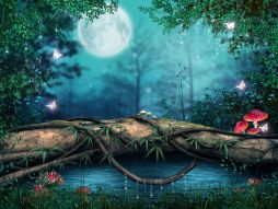 Фотообои Сказочный лес под луной