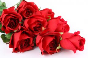 Фотообои Букет из ярко красных роз