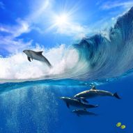 Фотообои Дельфины выпрыгивает из воды