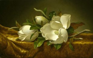 Фотообои Крупные белые цветы
