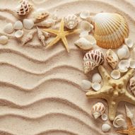 Фотообои морской песок и ракушки