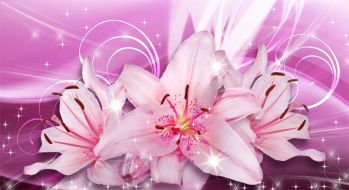 Фотообои 3D Розовые лилии на розовом фоне