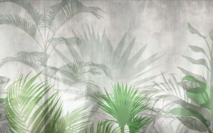 Фотообои Туманные тропики