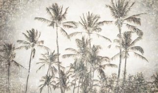 Фотообои Пальмы в скандинавском стиле