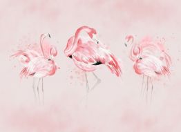 Фотообои Фламинго