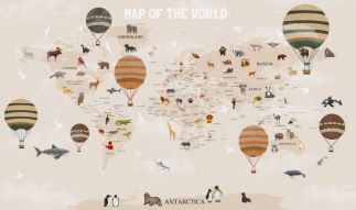 Фотообои Карта мира с шарами