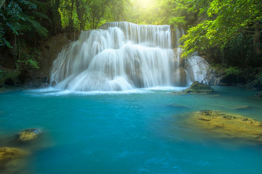 Фотообои Лесной водопад