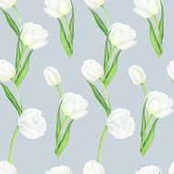 Фотообои Белые тюльпаны на сером фоне