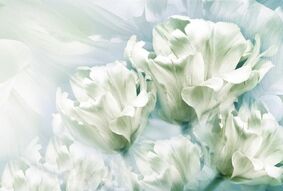 Фотообои Белые тюльпаны абстракция