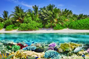 Фотообои Море, подводный мир, пляж с пальмами