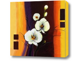 Картина белая орхидея